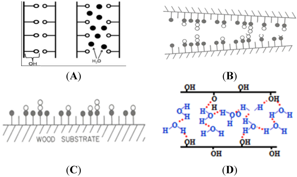 Coatings 05 00792 g002 1024