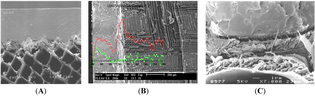 Coatings 05 00792 g004 1024