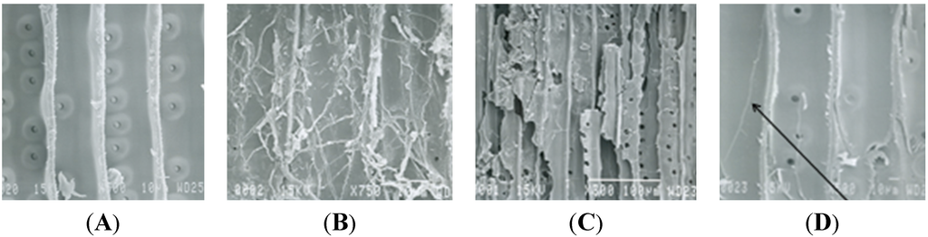 Coatings 05 00792 g007 1024