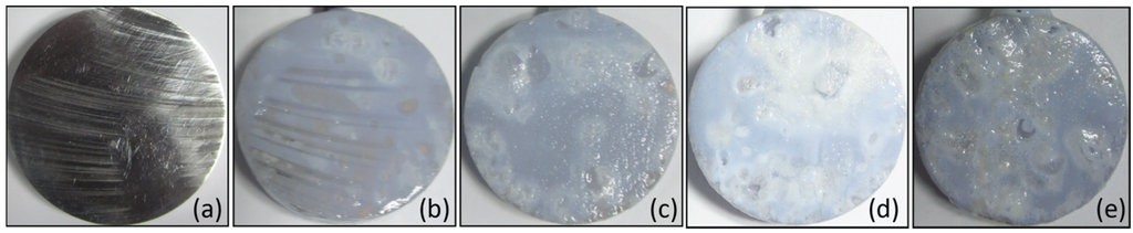 Coatings 05 00816 g004 1024