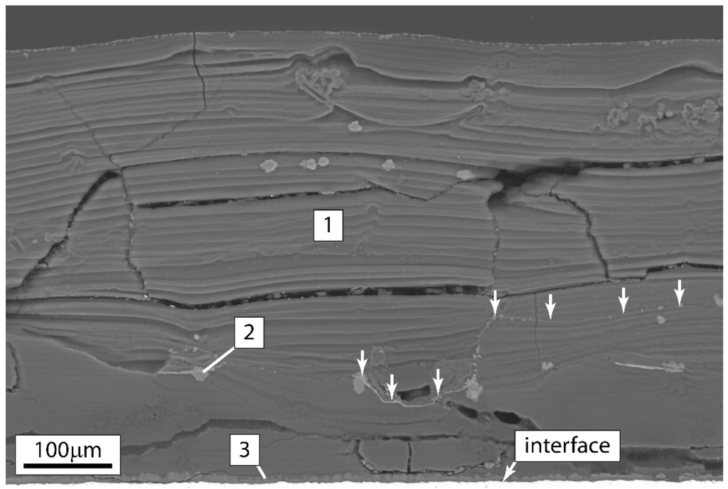 Coatings 05 00816 g008 1024