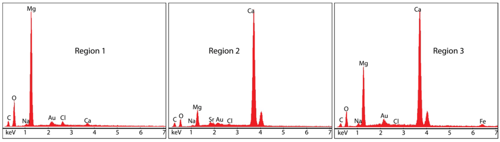 Coatings 05 00816 g009 1024