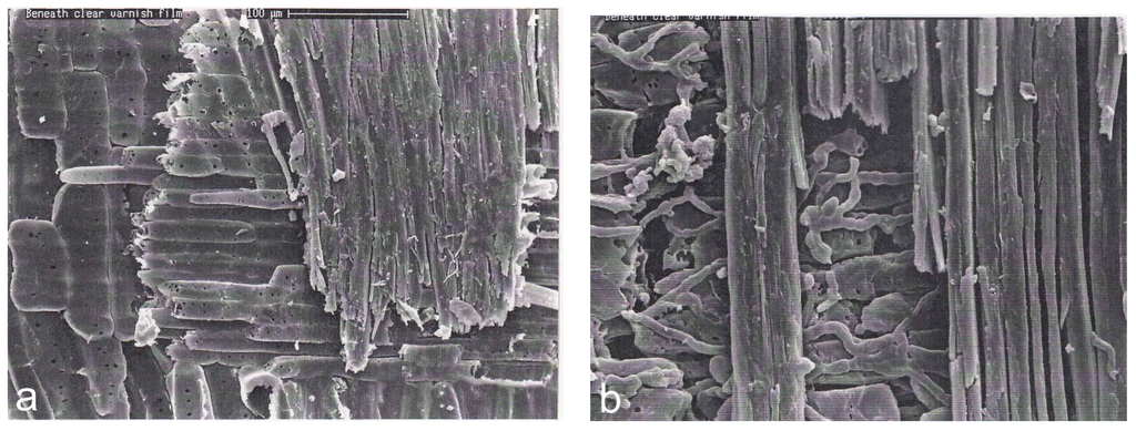 Coatings 05 00830 g003 1024