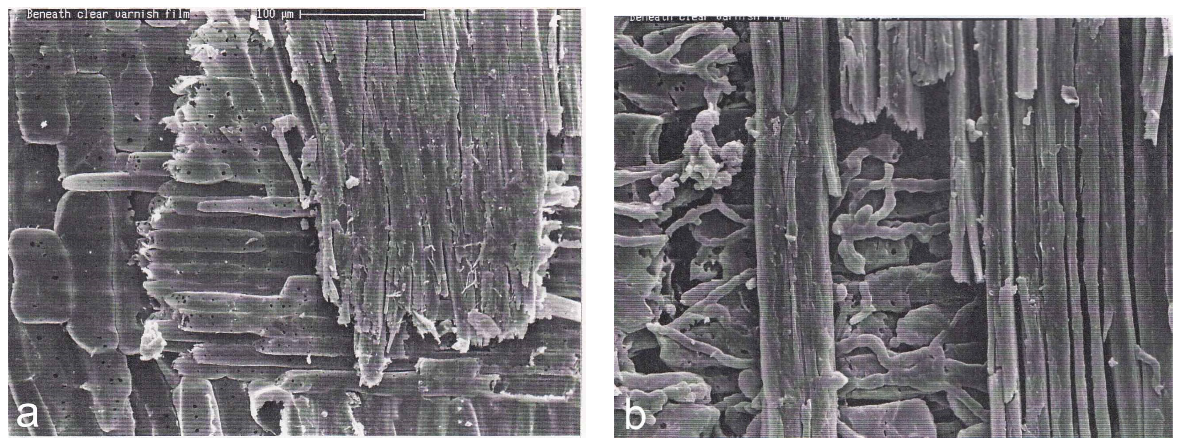 Coatings 05 00830 g003