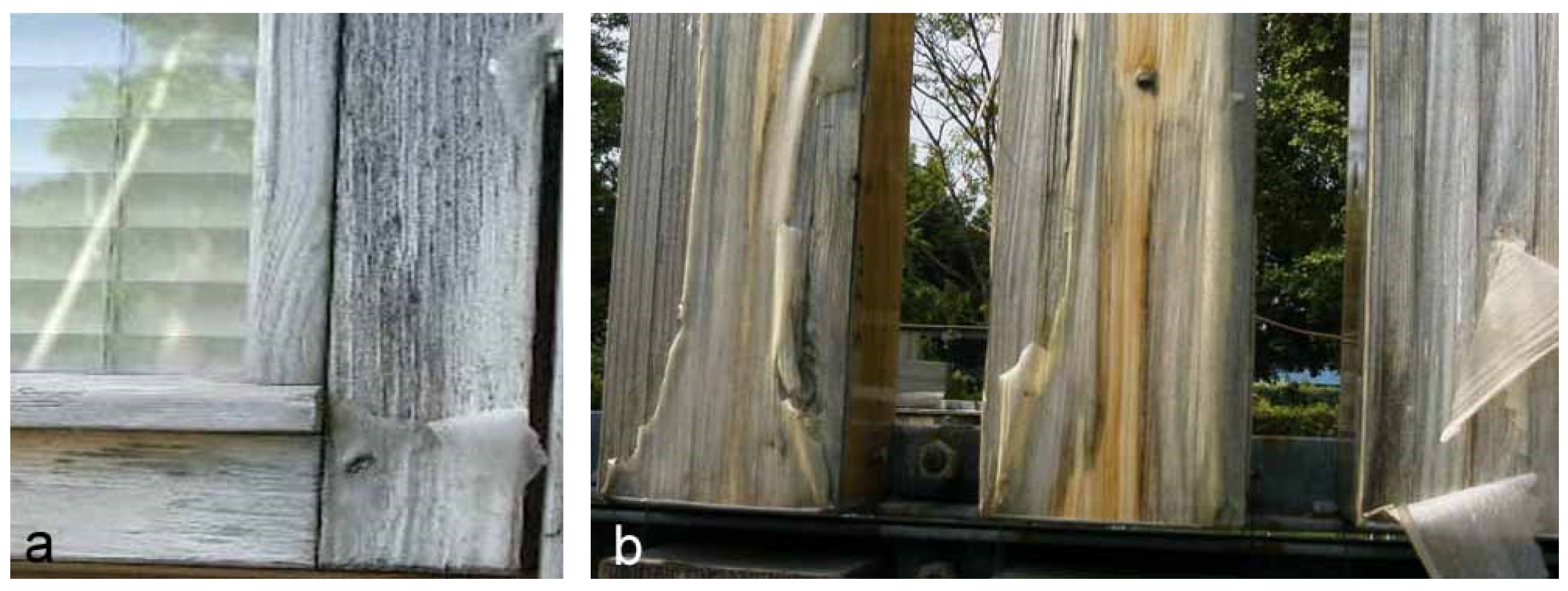 Coatings 05 00830 g004