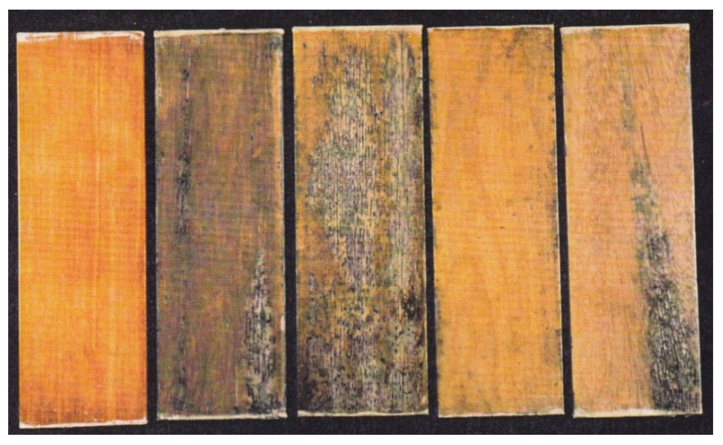 Coatings 05 00830 g007