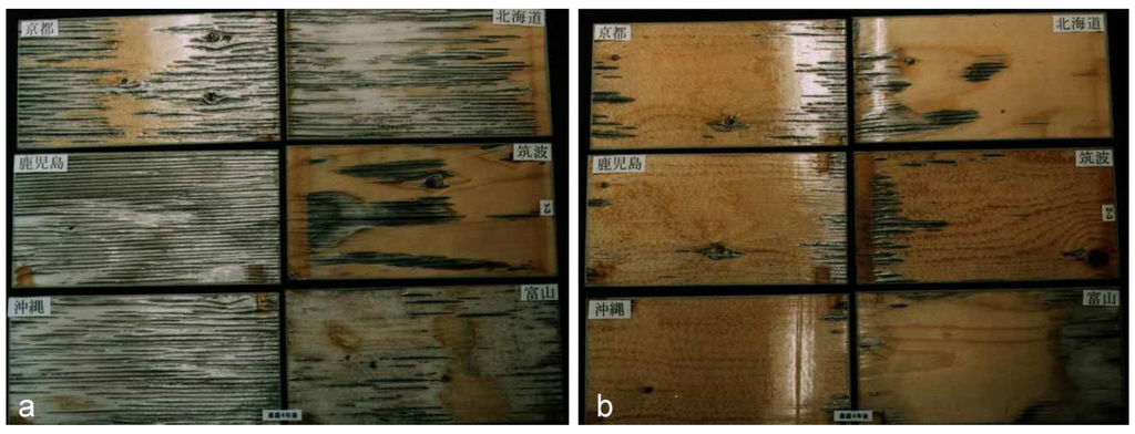 Coatings 05 00830 g008 1024