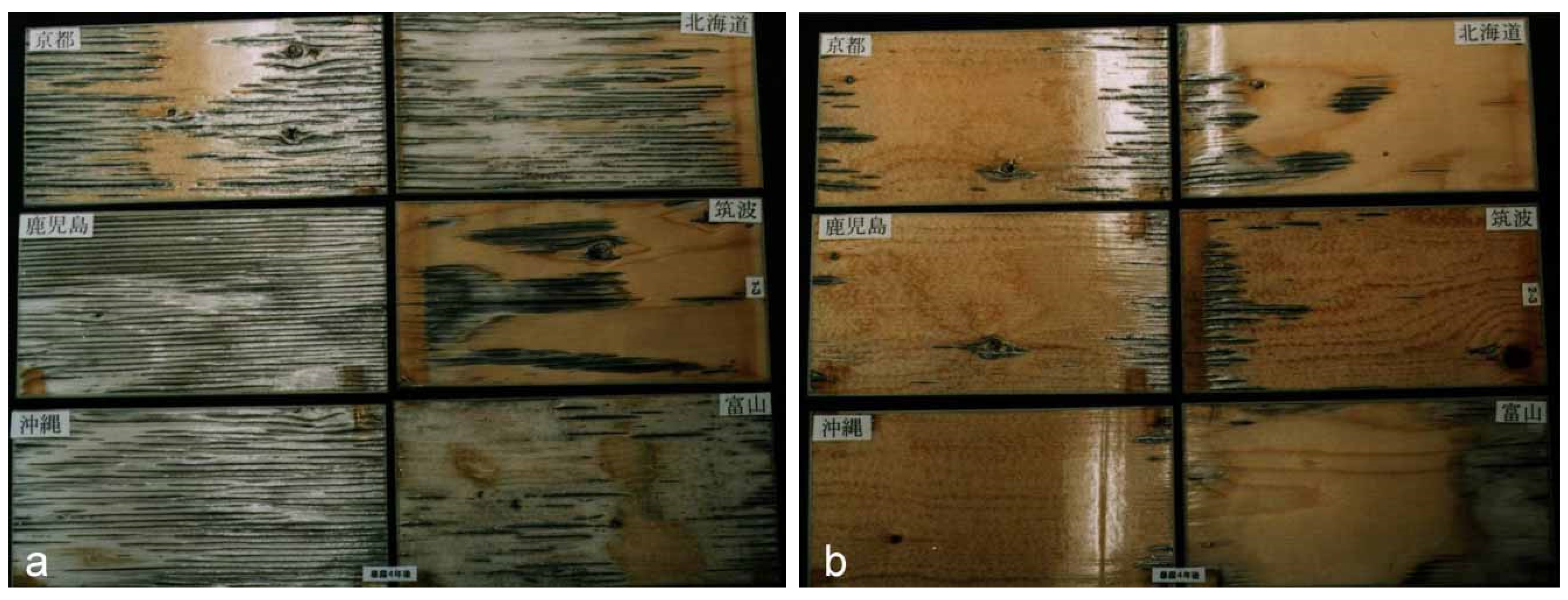 Coatings 05 00830 g008