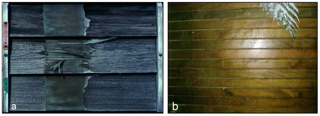 Coatings 05 00830 g009 1024