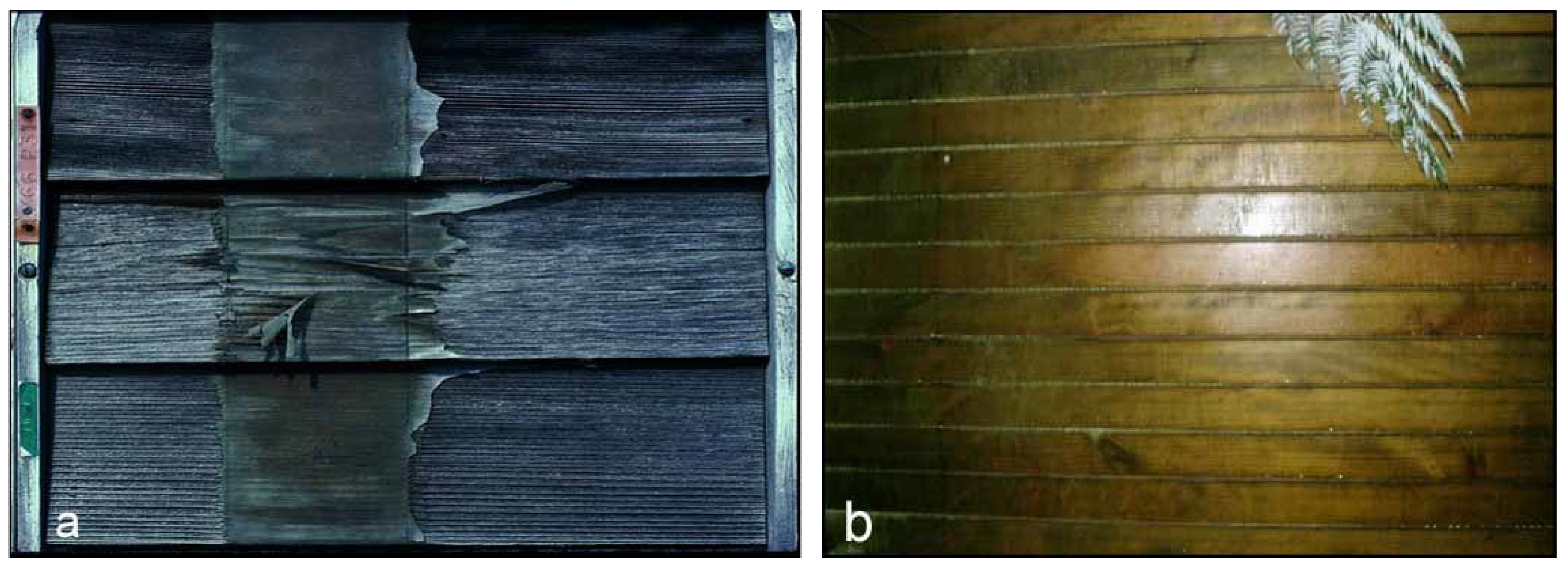 Coatings 05 00830 g009