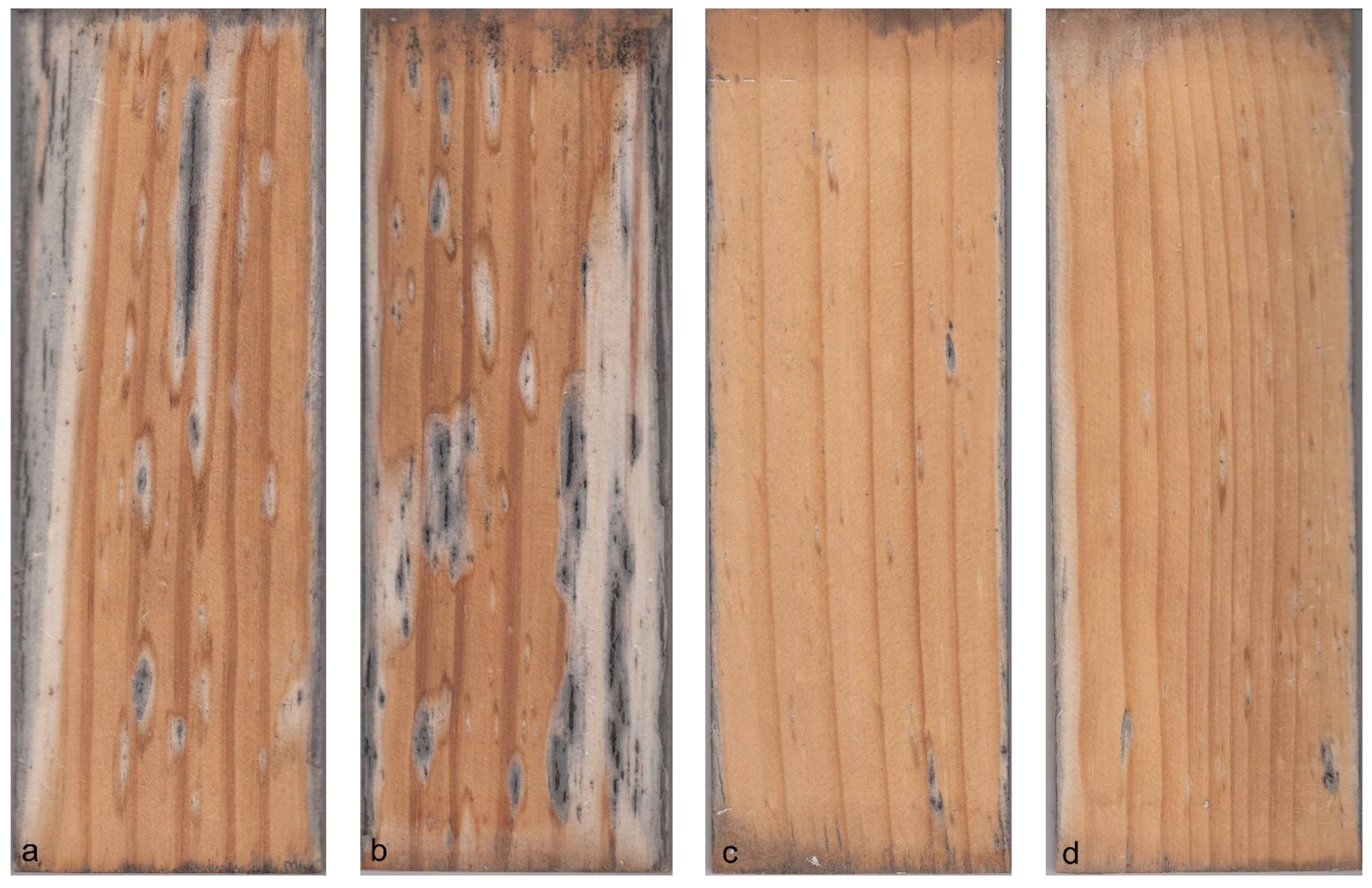 Coatings 05 00830 g010
