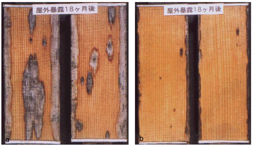 Coatings 05 00830 g011 1024