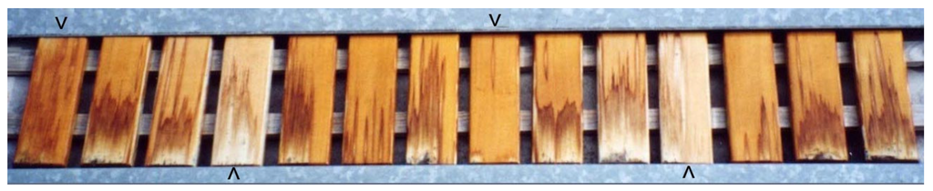 Coatings 05 00830 g013 1024