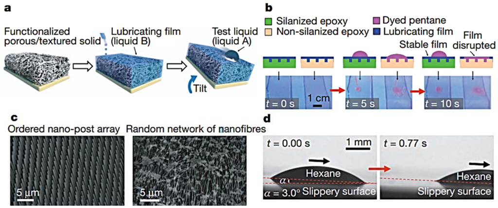 Coatings 05 01002 g003 1024