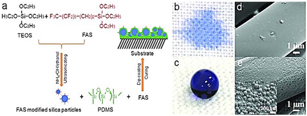 Coatings 05 01002 g004 1024