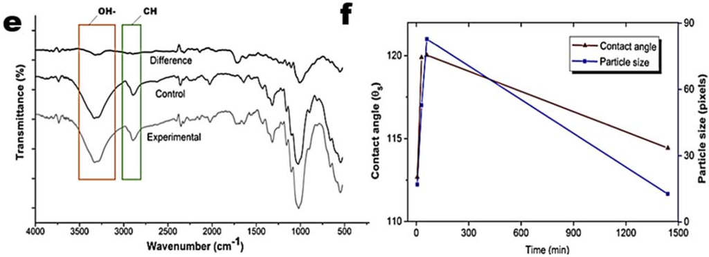 Coatings 05 01002 g005b 1024