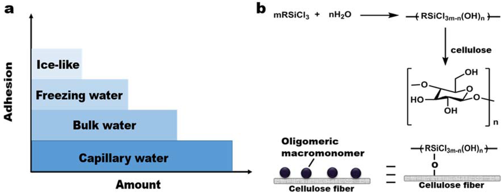 Coatings 05 01002 g006 1024