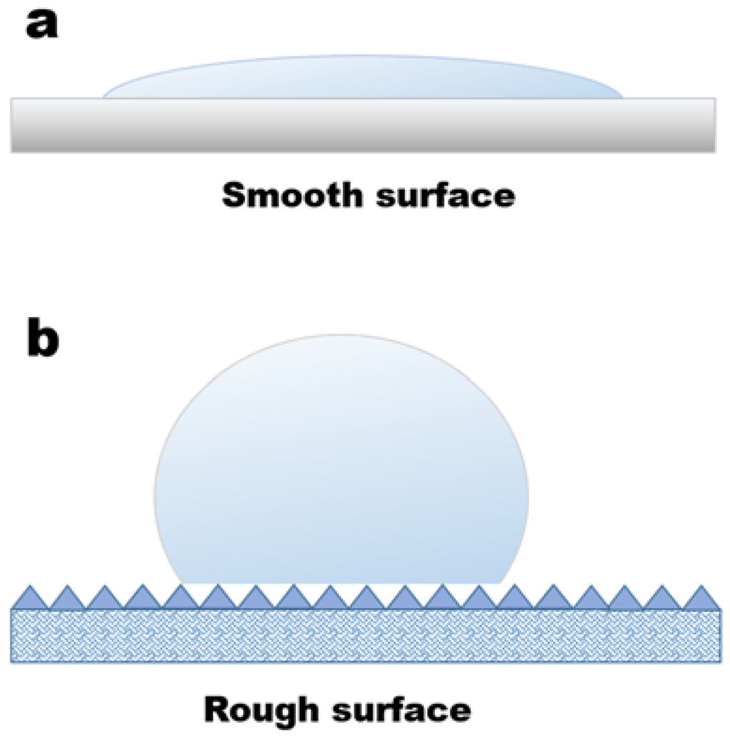 Coatings 05 01002 g007 1024
