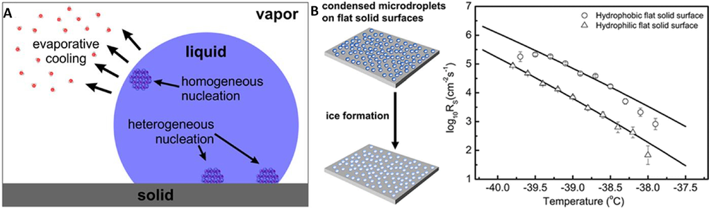 Coatings 06 00003 g002 1024