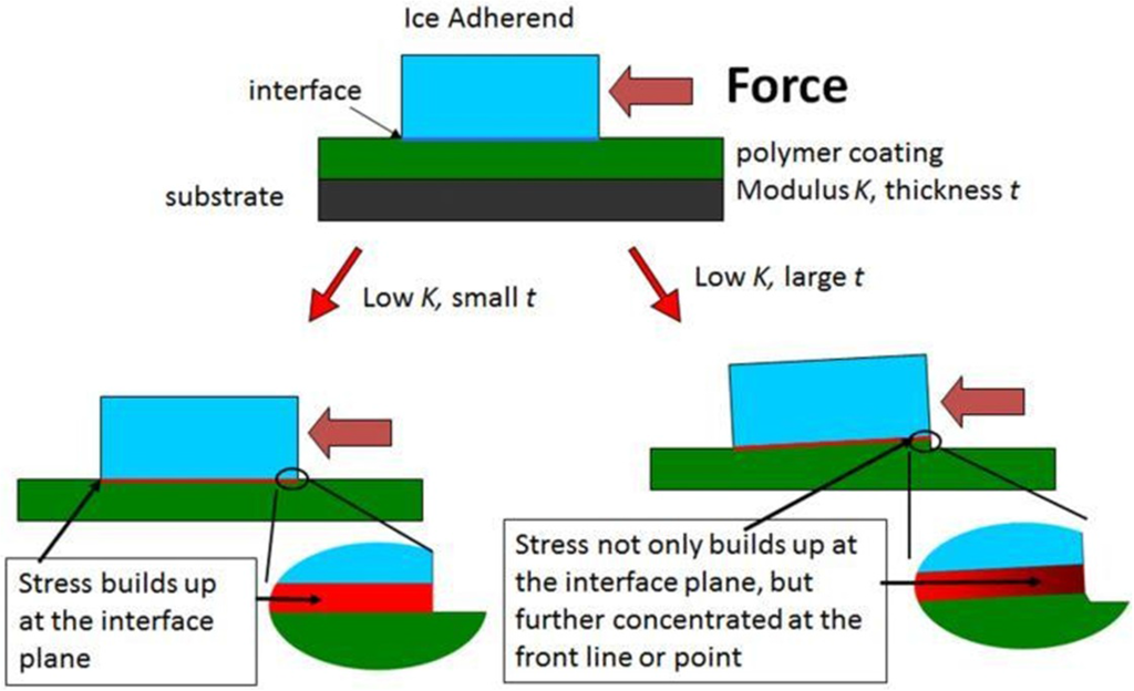 Coatings 06 00003 g008 1024