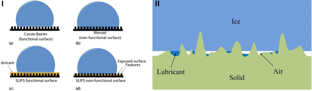 Coatings 06 00003 g013 1024