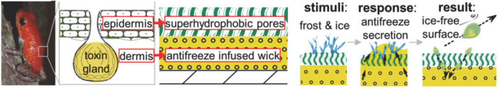 Coatings 06 00003 g014 1024