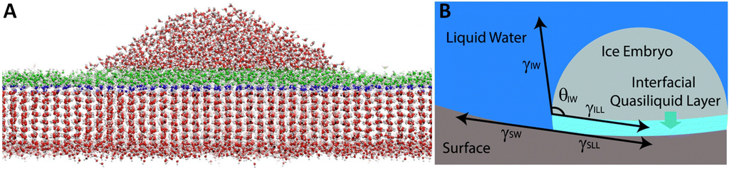 Coatings 06 00003 g017 1024