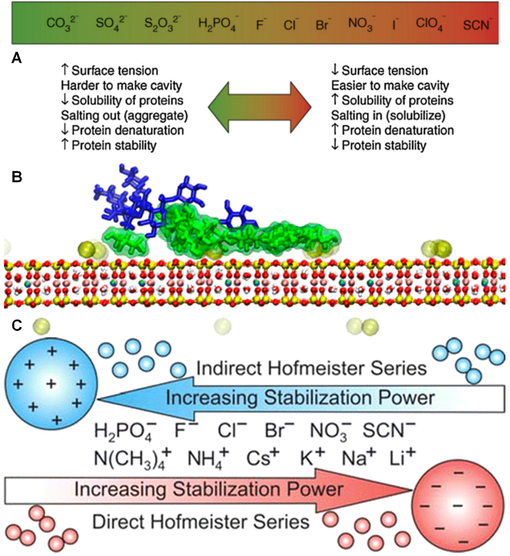 Coatings 06 00003 g019 1024