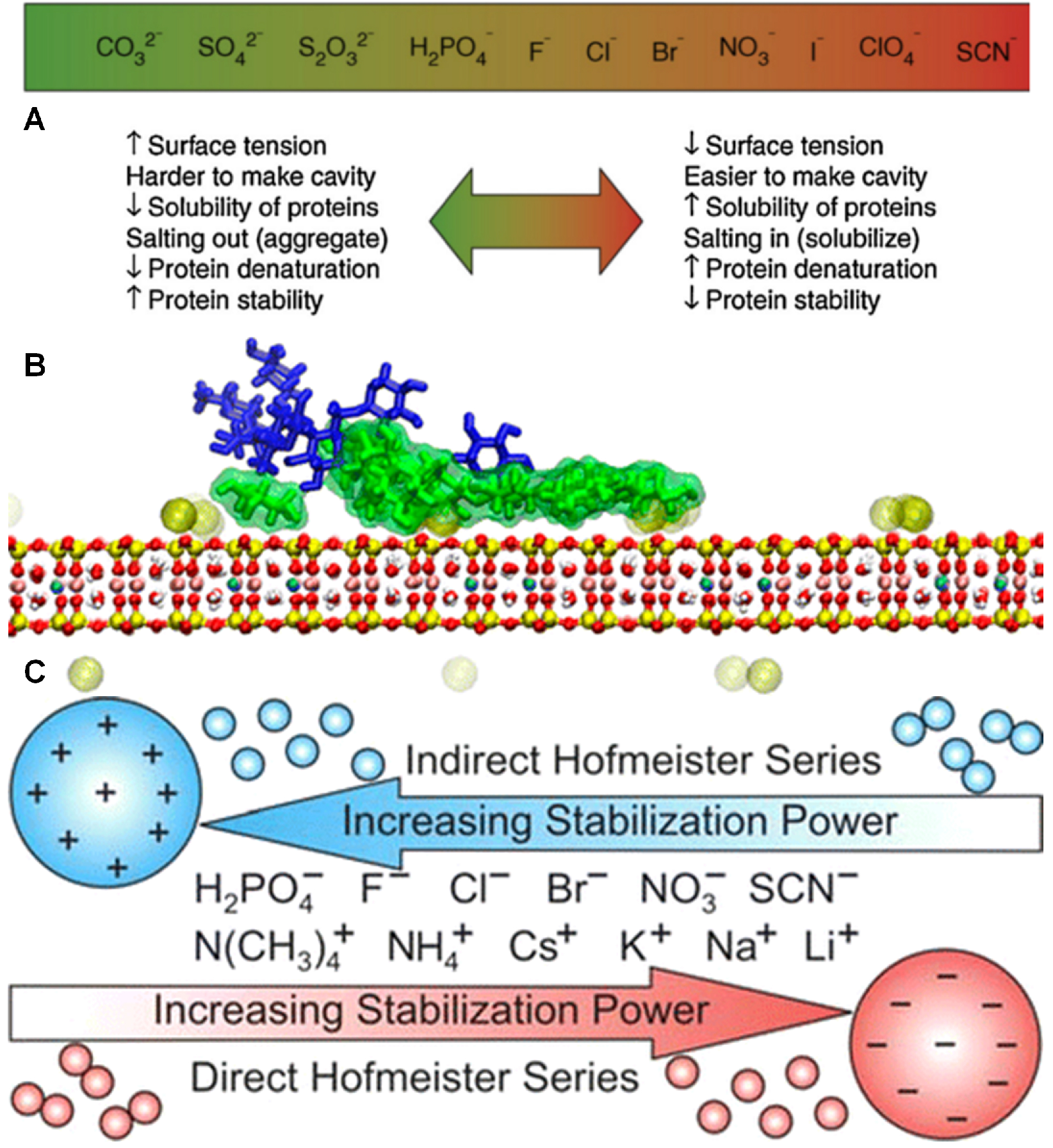Coatings 06 00003 g019