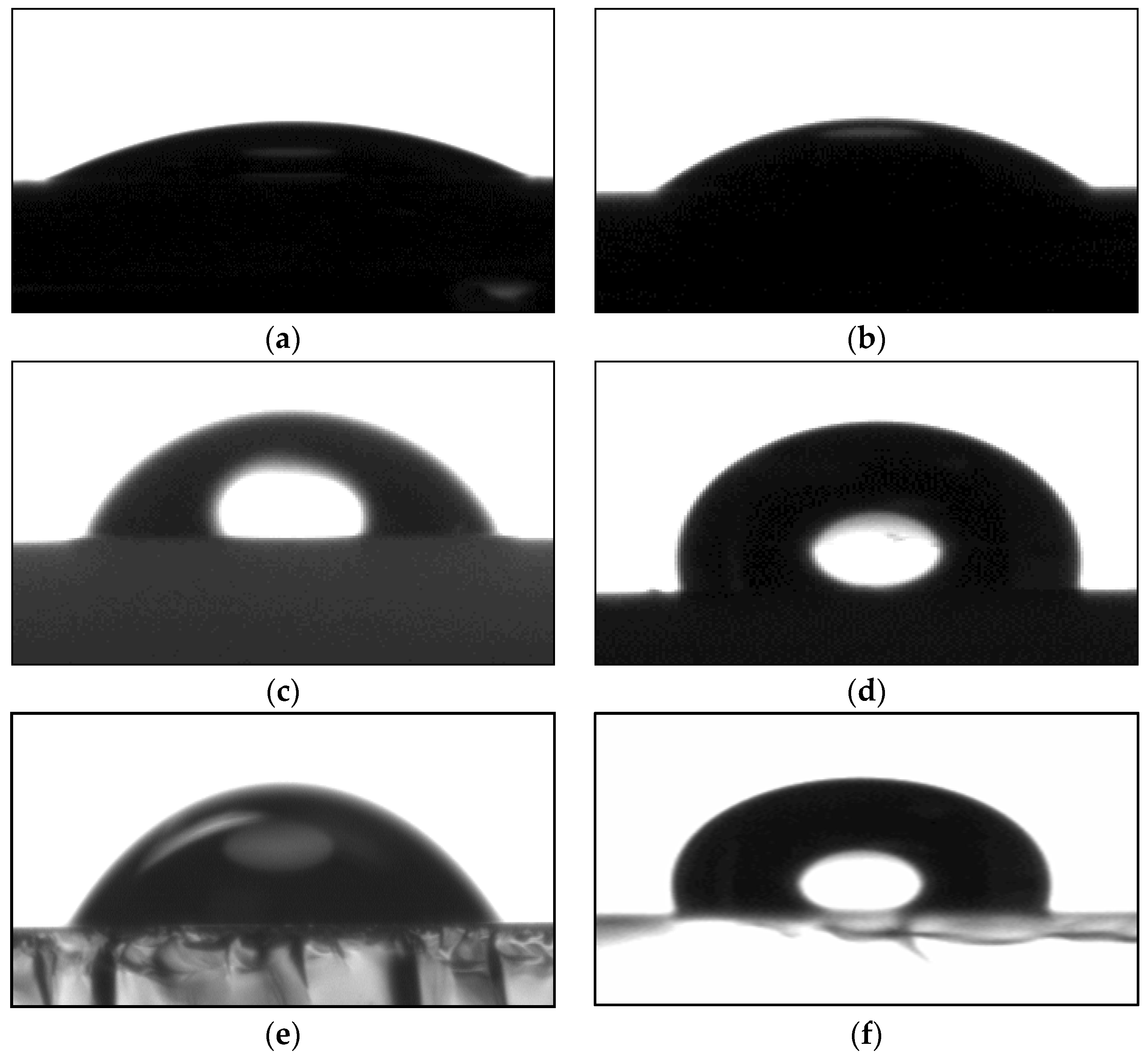 Coatings 06 00009 g001