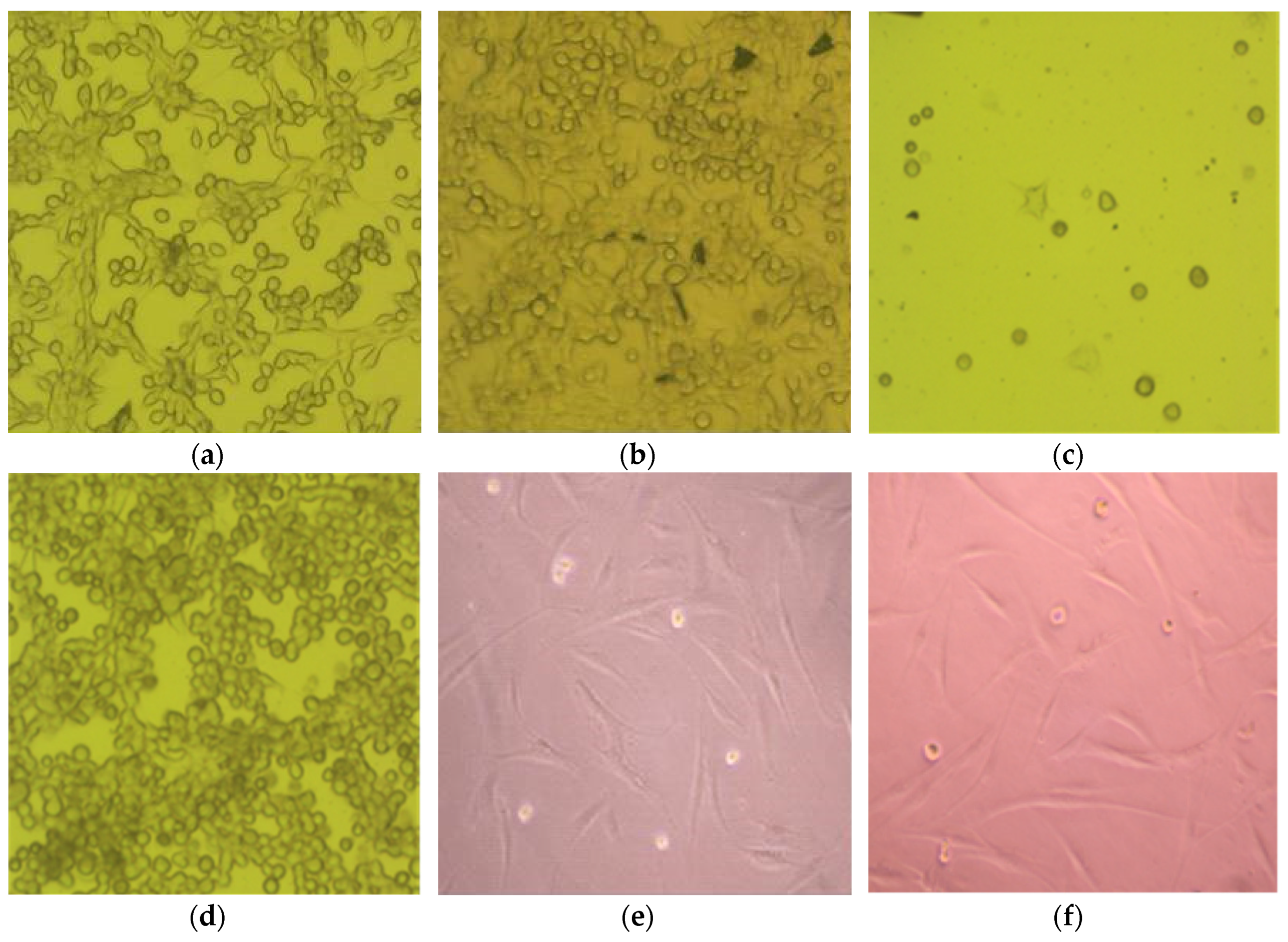 Coatings 06 00009 g003