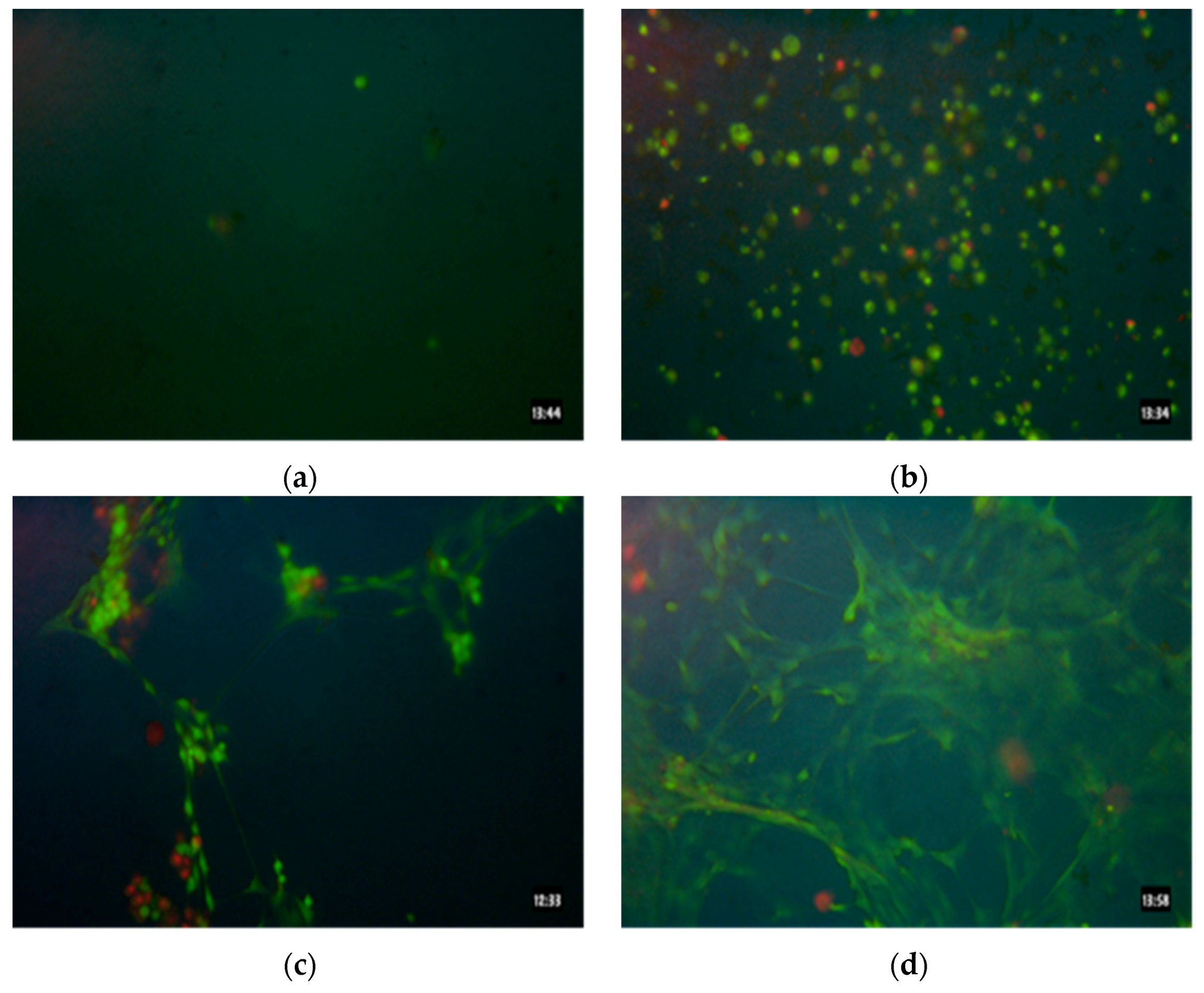 Coatings 06 00009 g004
