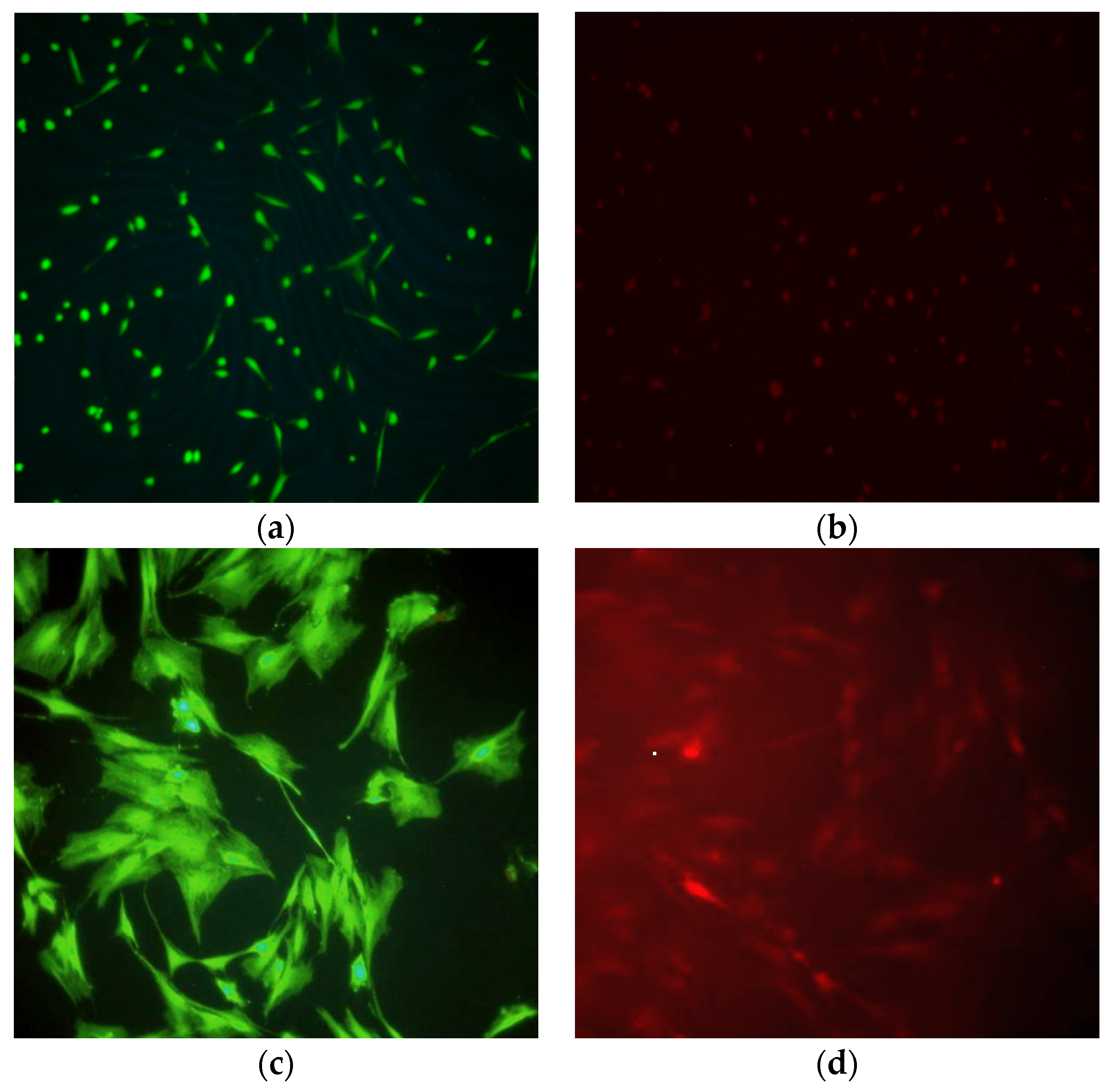 Coatings 06 00009 g005