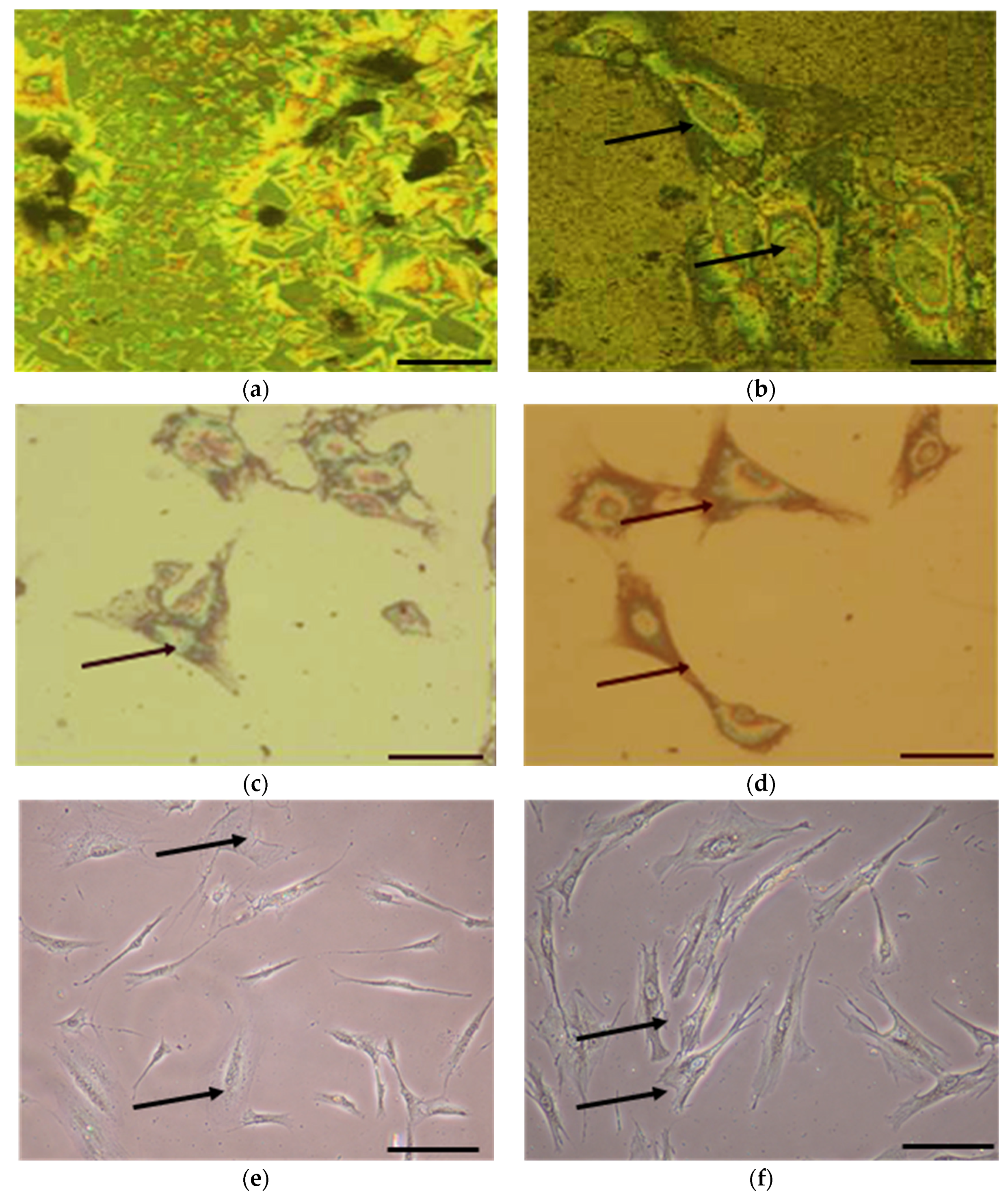 Coatings 06 00009 g007