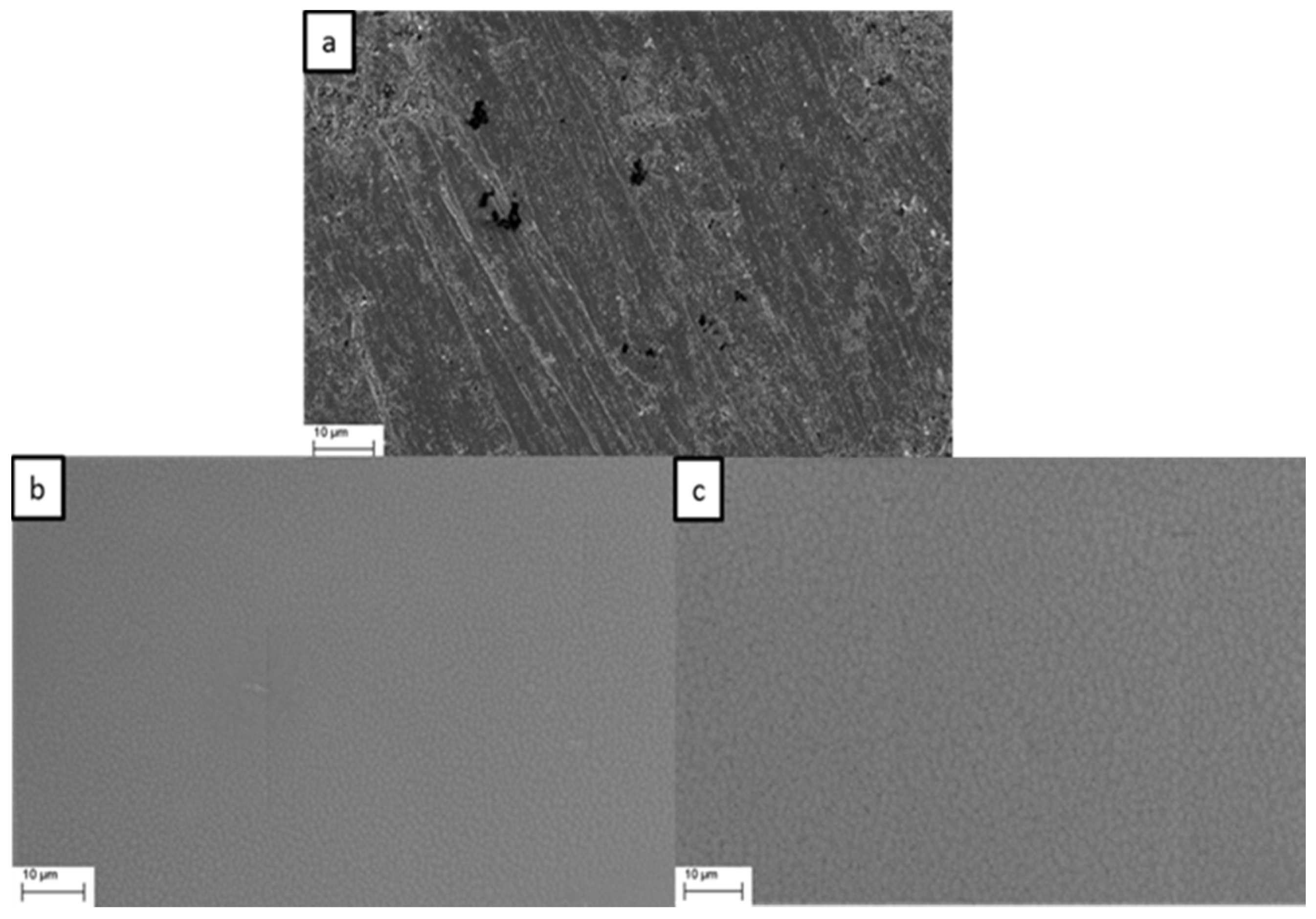 Coatings 06 00017 g003