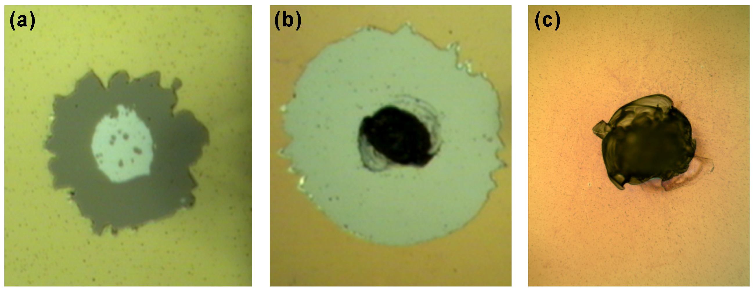 Coatings 06 00020 g008