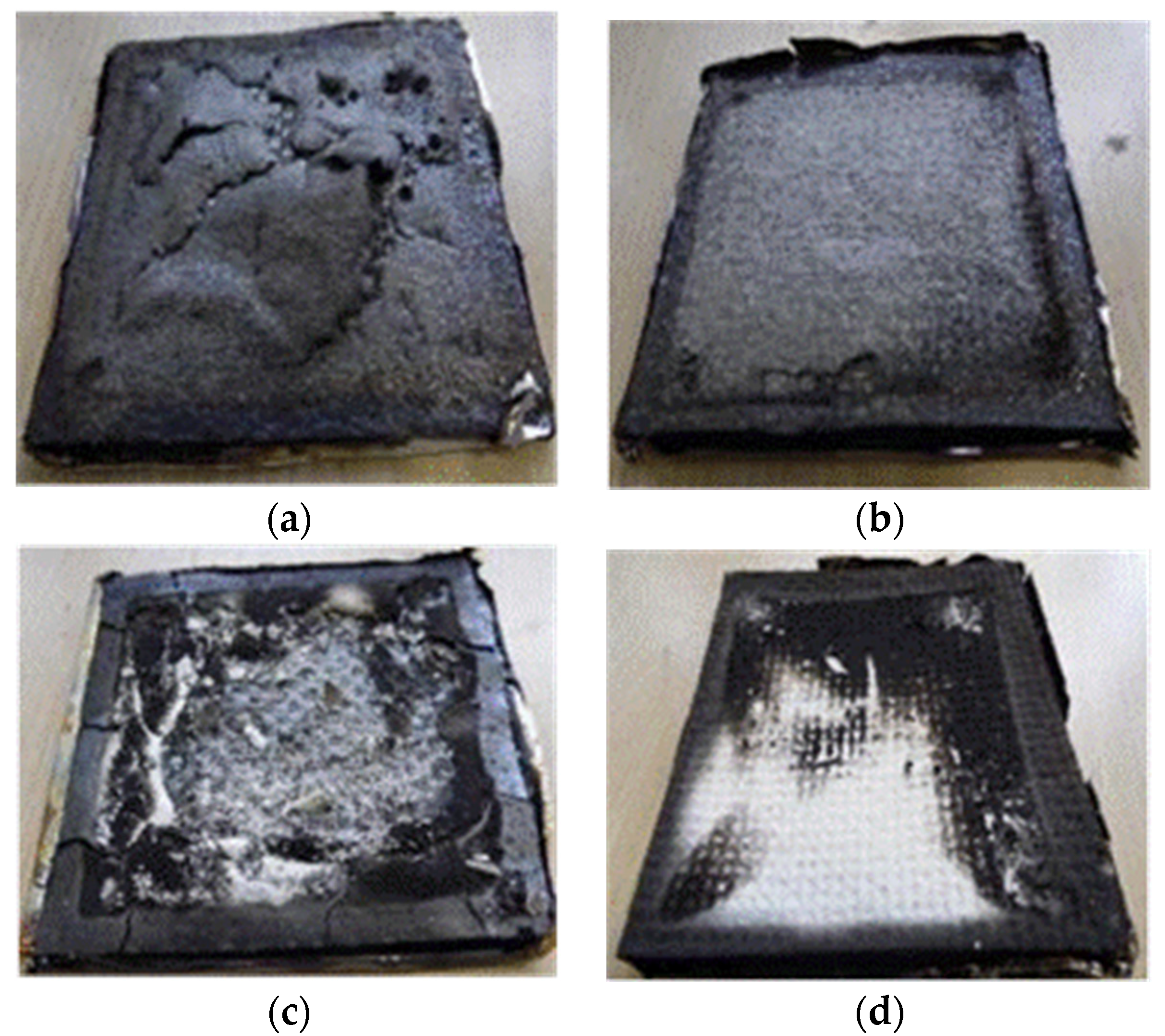 Coatings 06 00022 g006