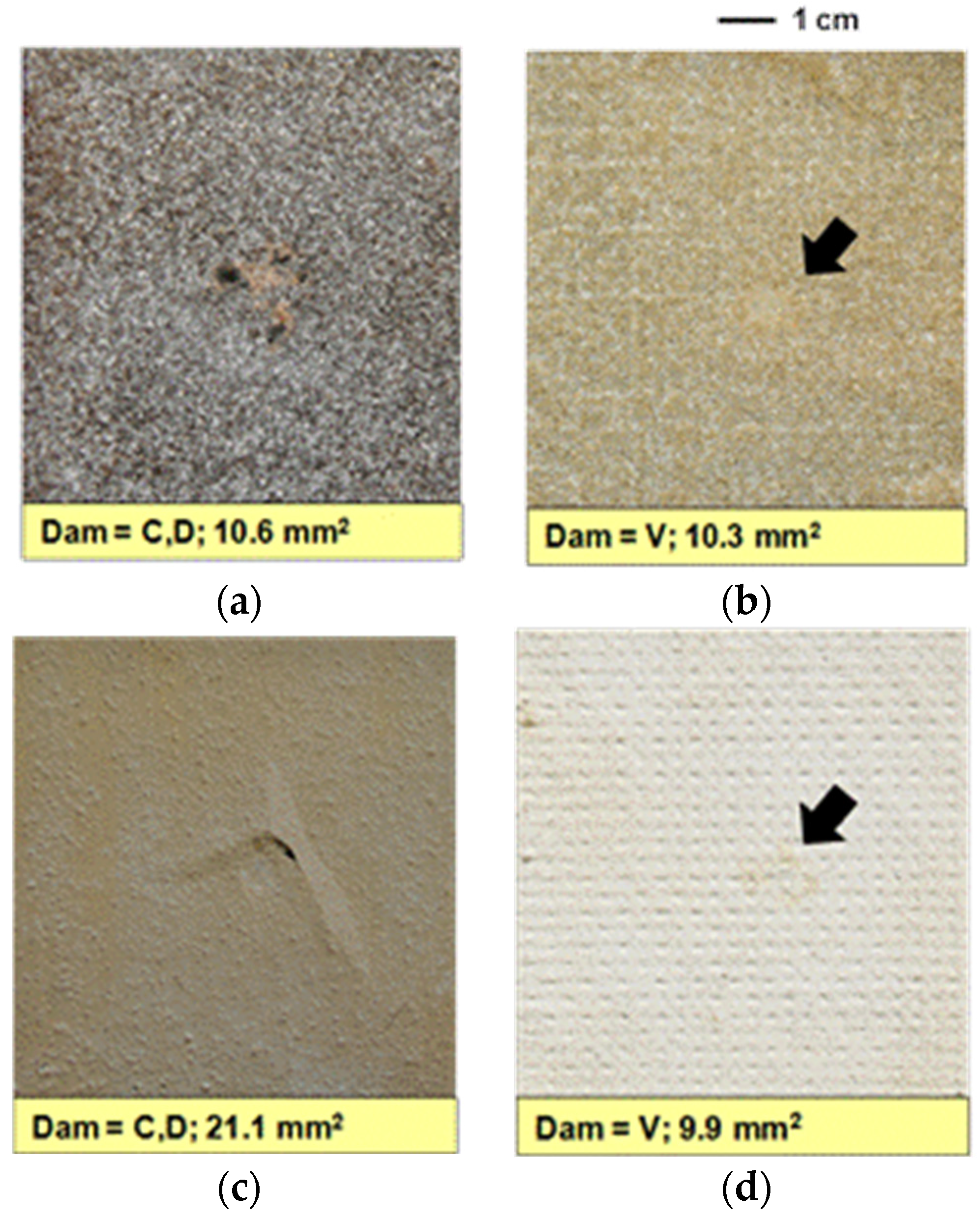 Coatings 06 00022 g007