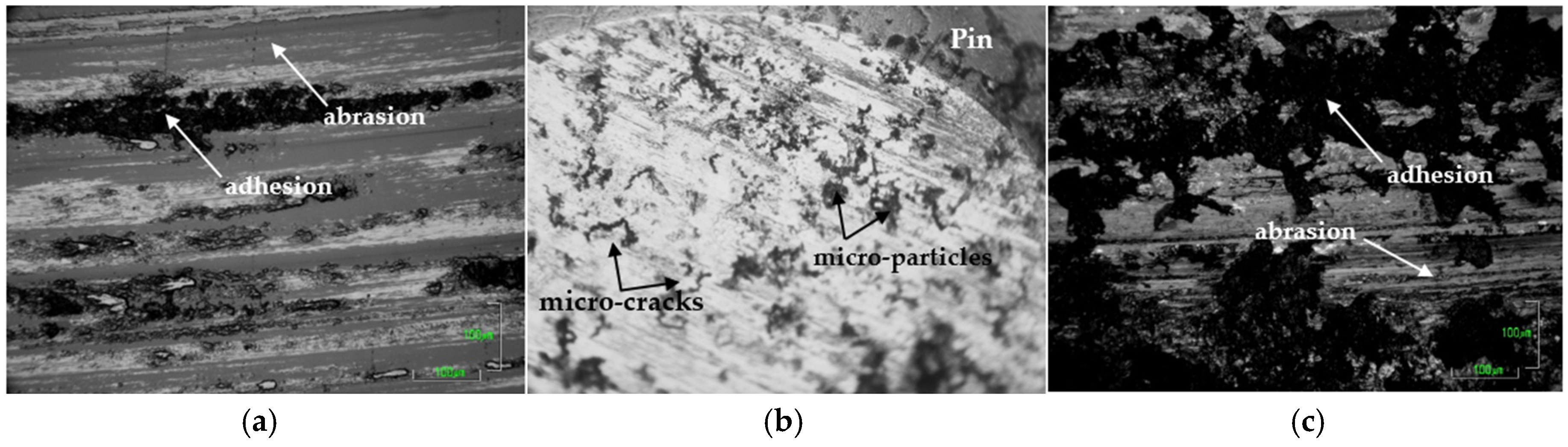 Coatings 06 00026 g006