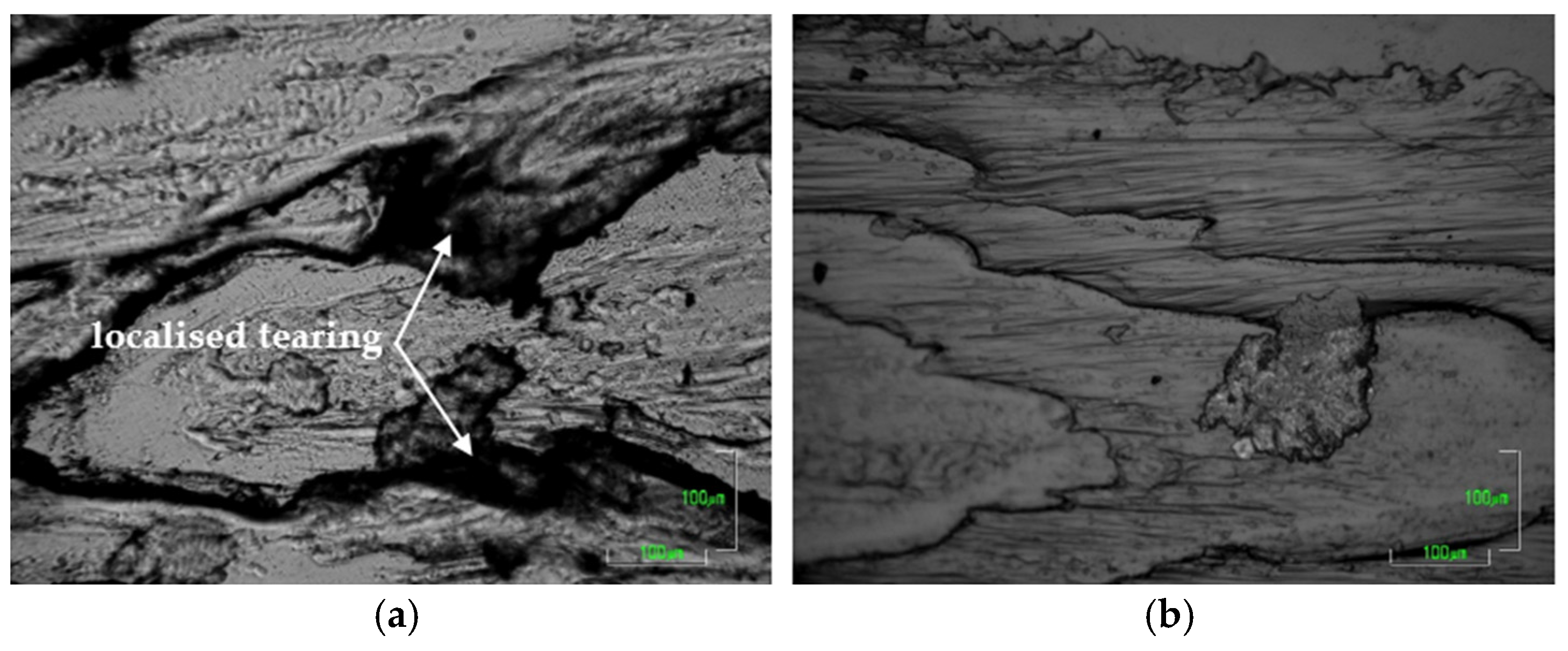 Coatings 06 00026 g007