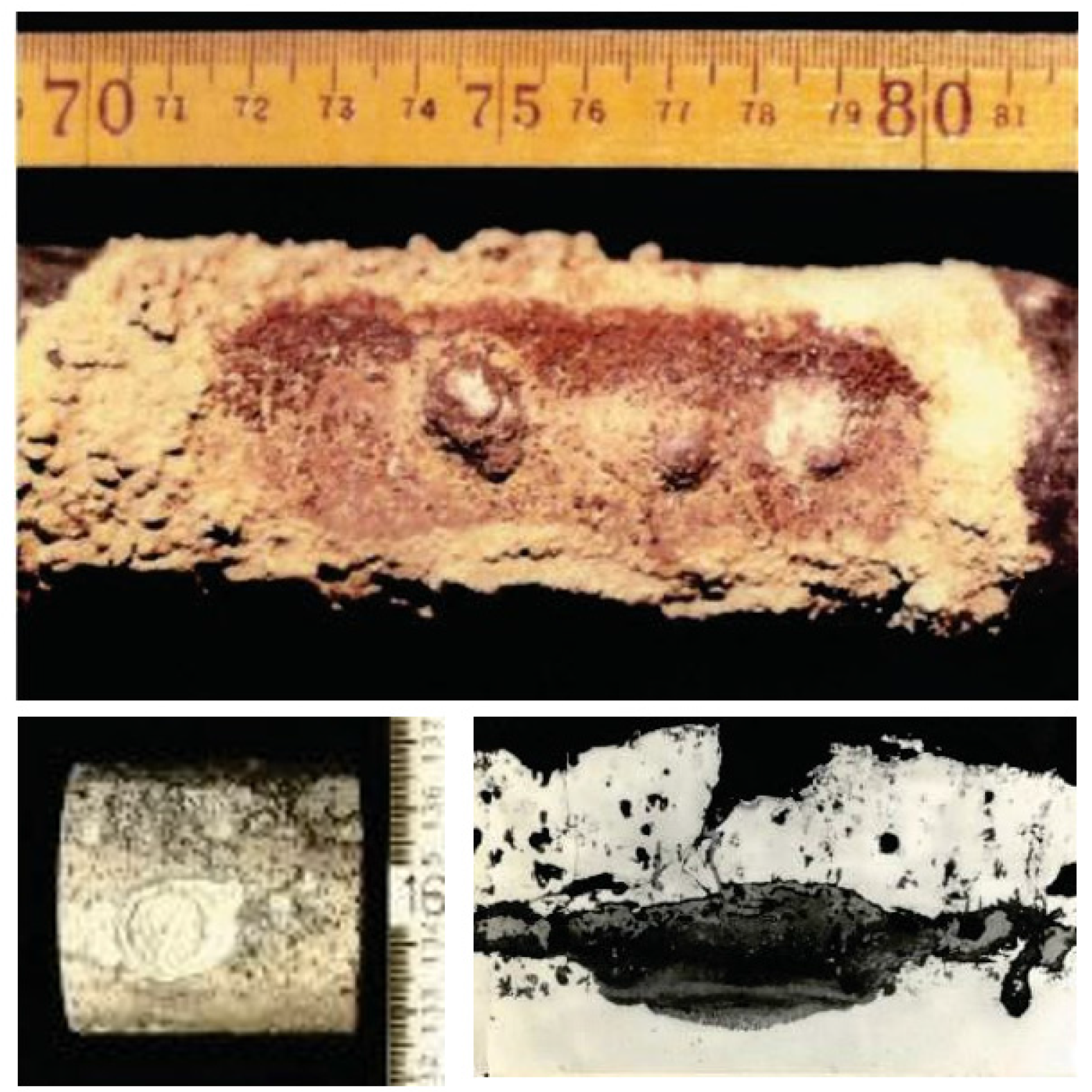 Coatings 06 00034 g010