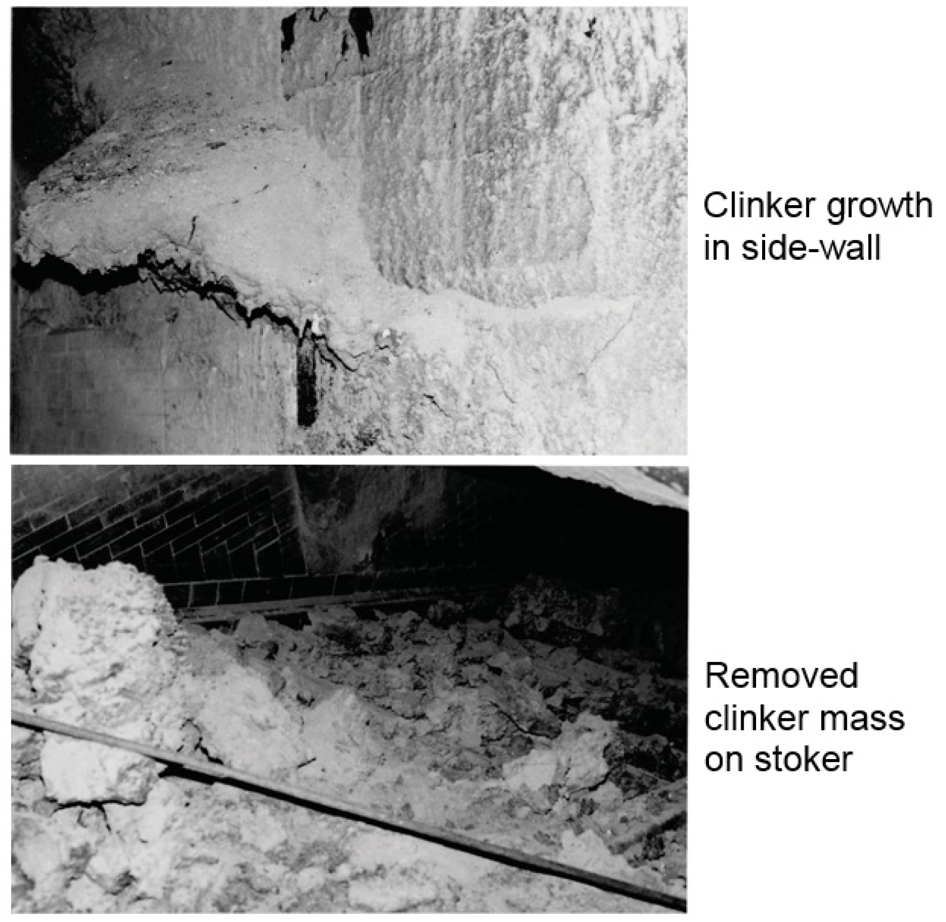 Coatings 06 00034 g011