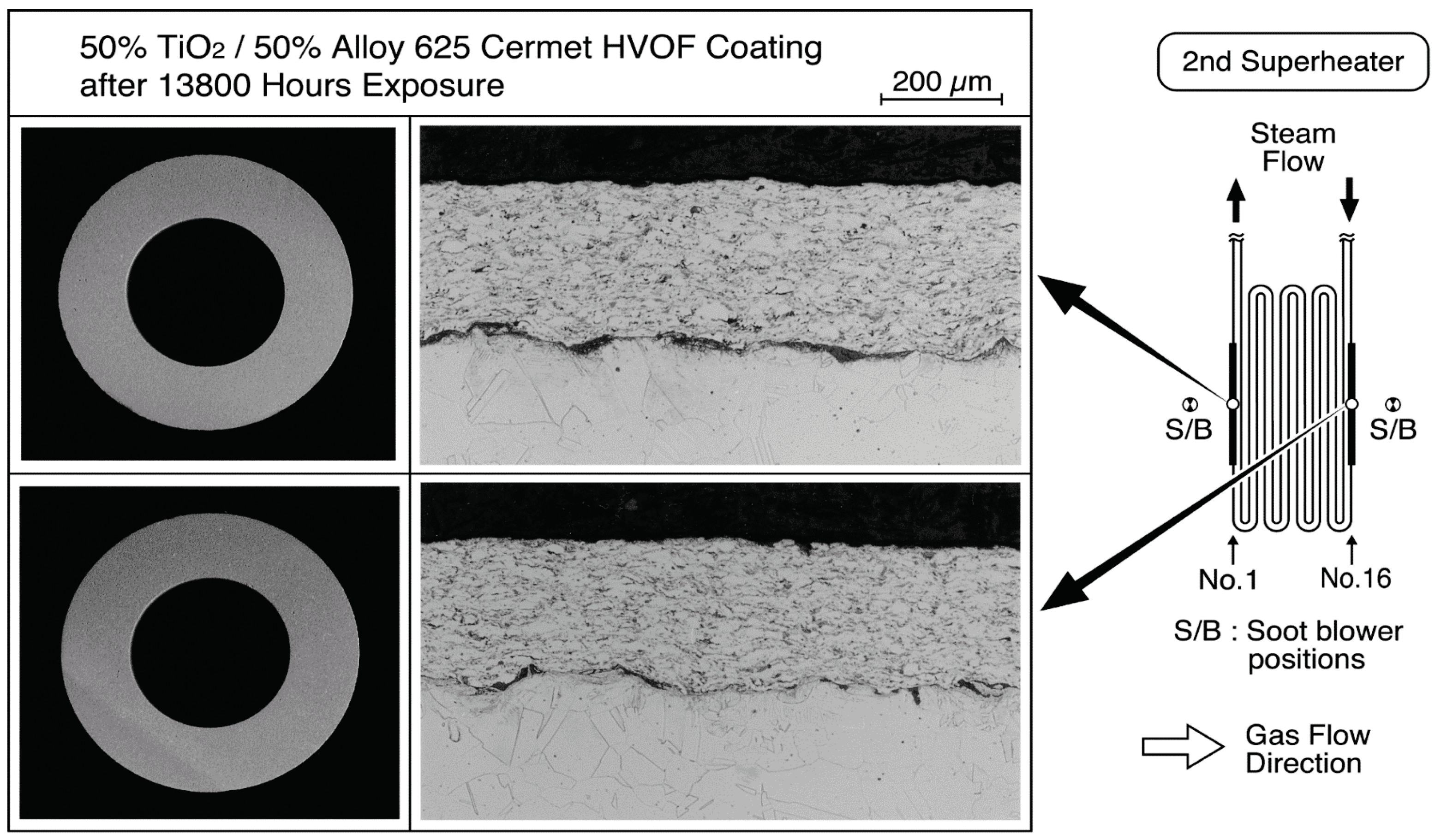 Coatings 06 00034 g014