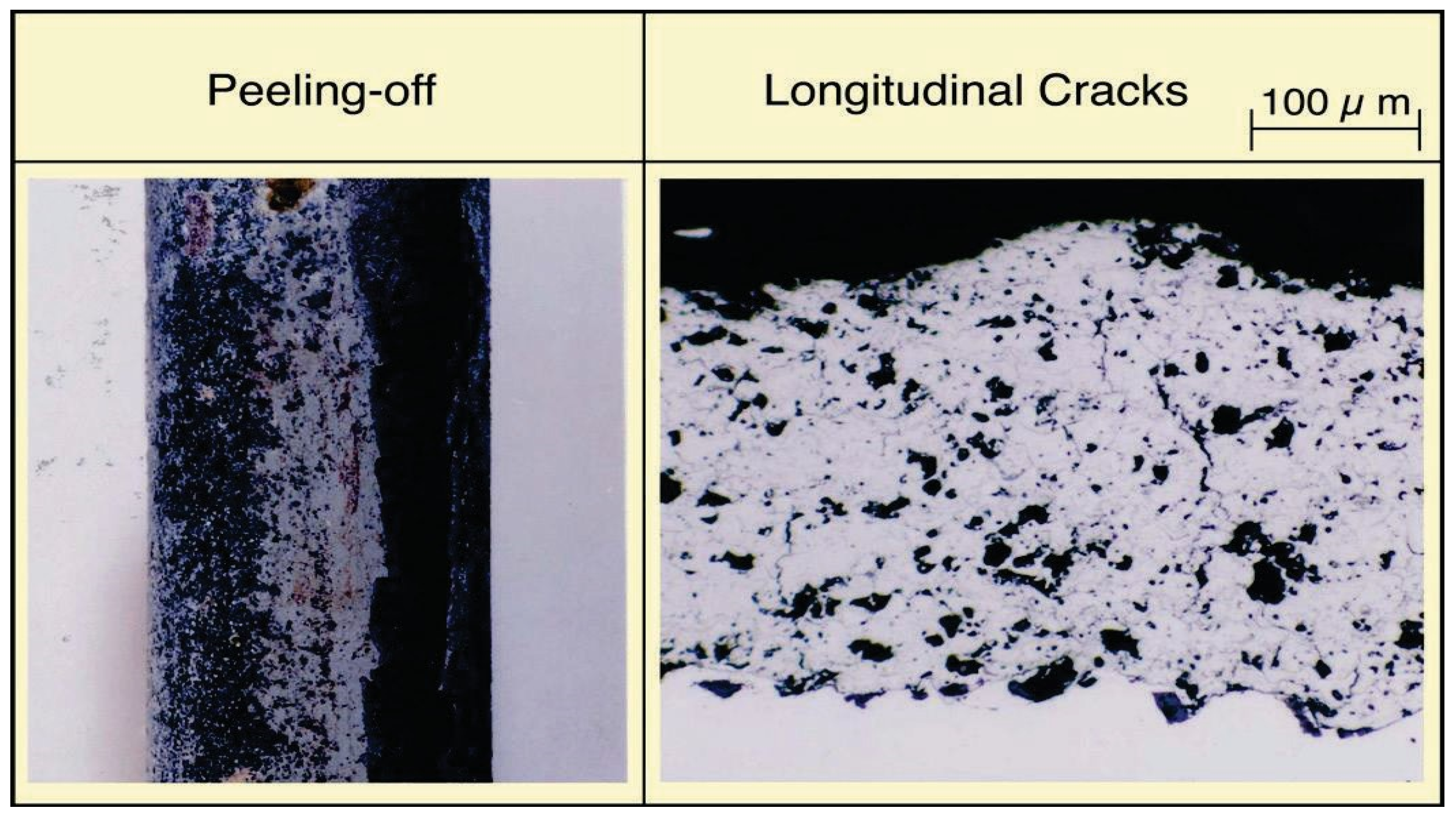Coatings 06 00034 g016