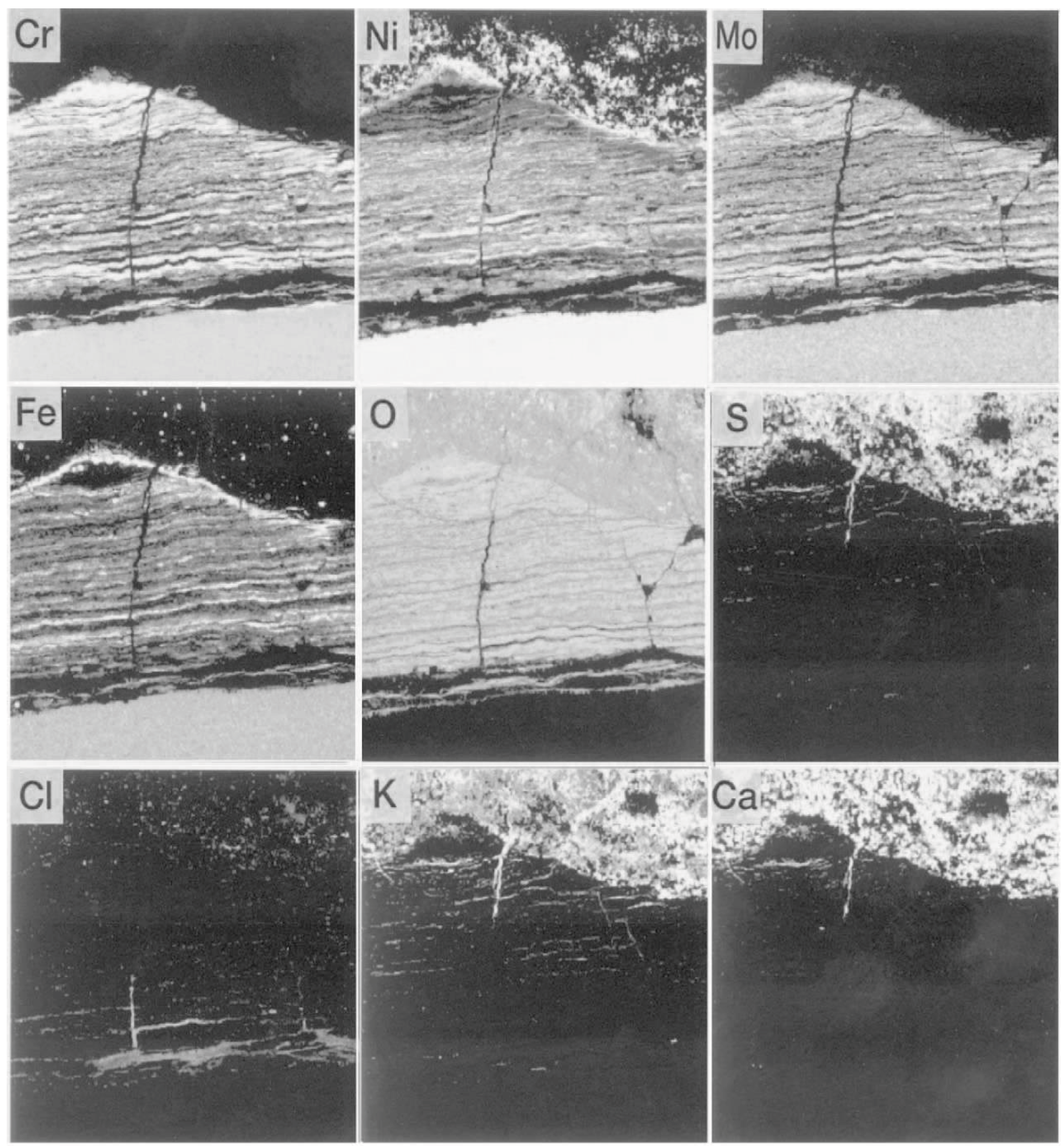 Coatings 06 00034 g020