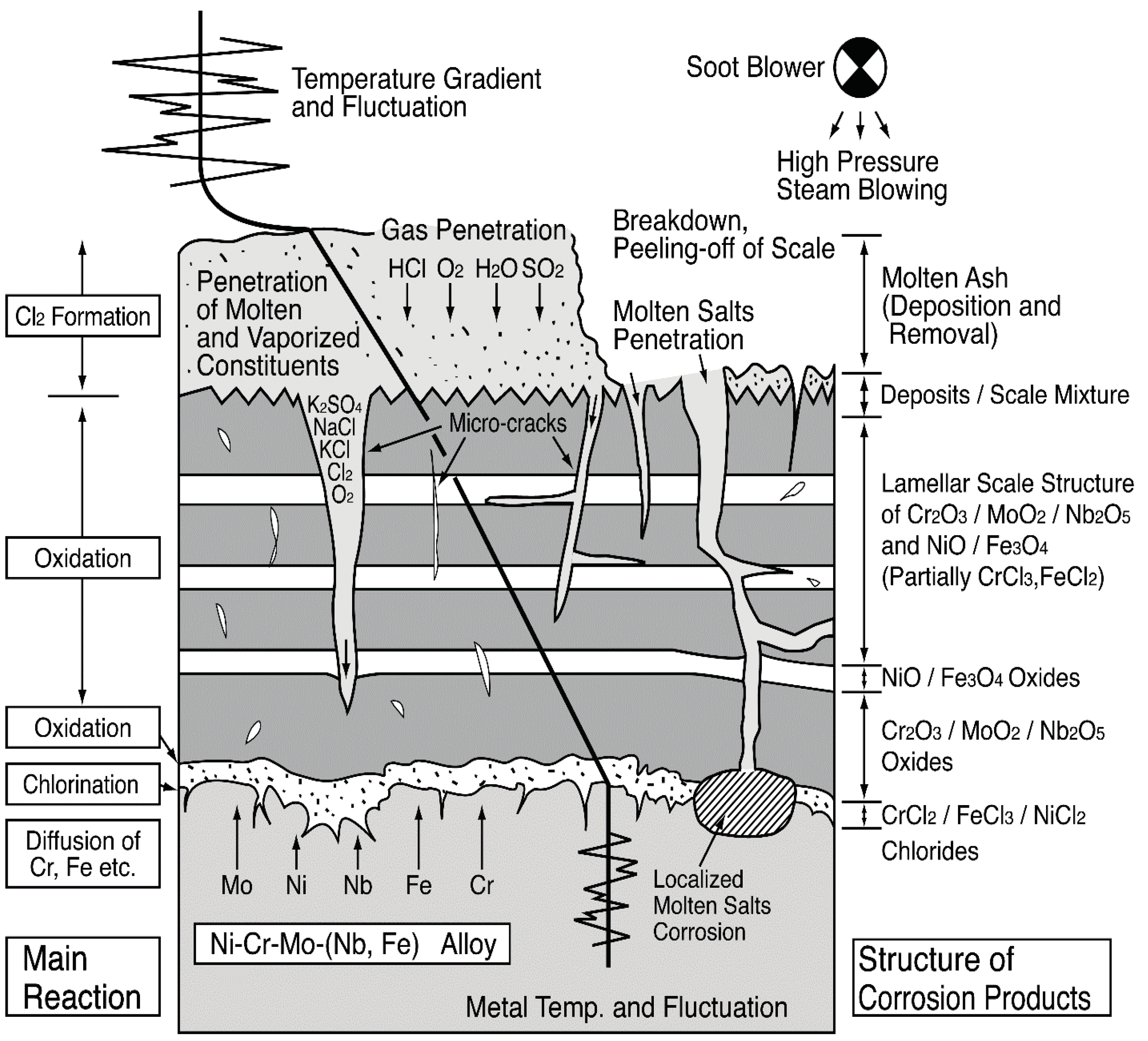 Coatings 06 00034 g021