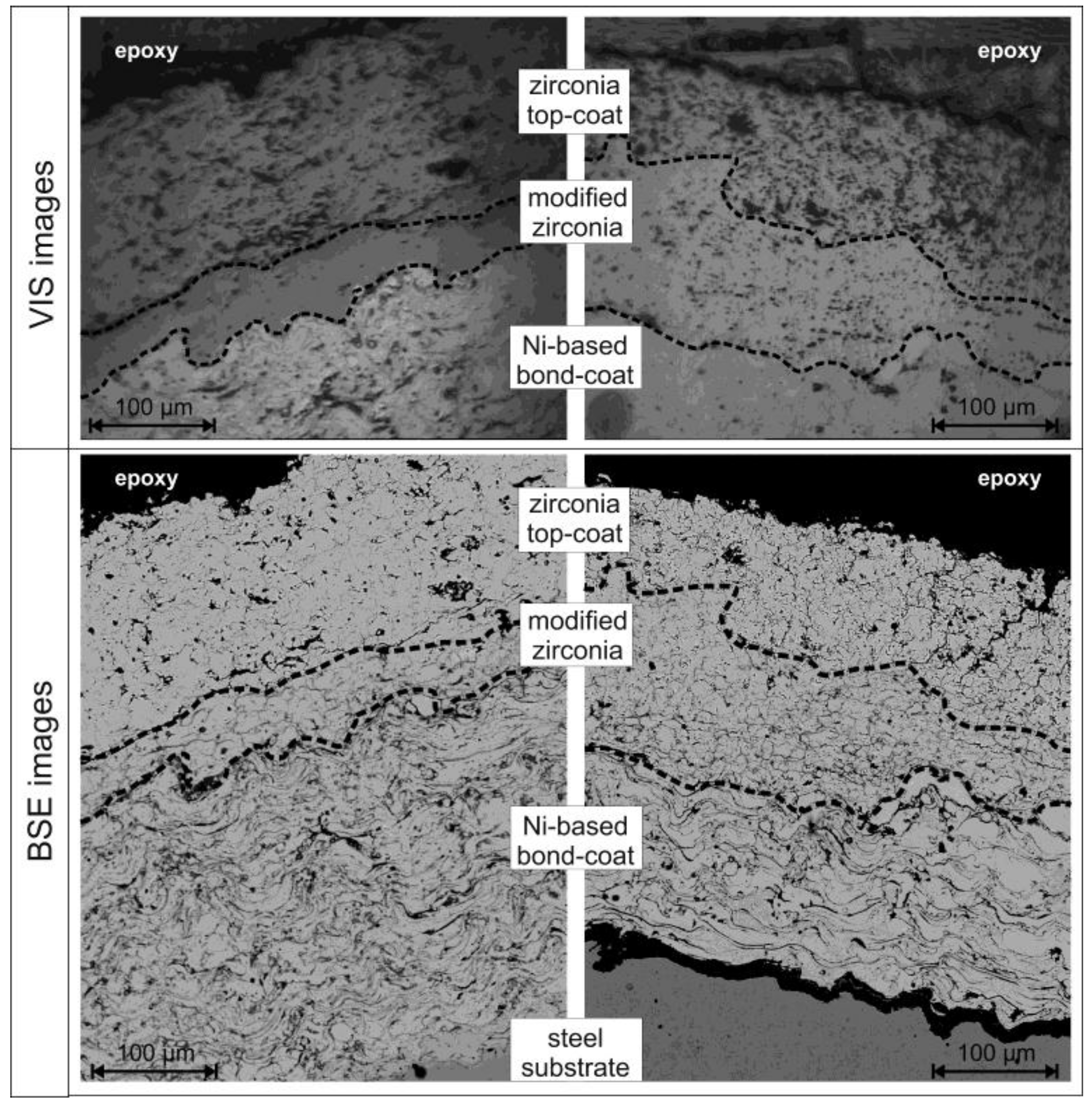 Coatings 06 00036 g003