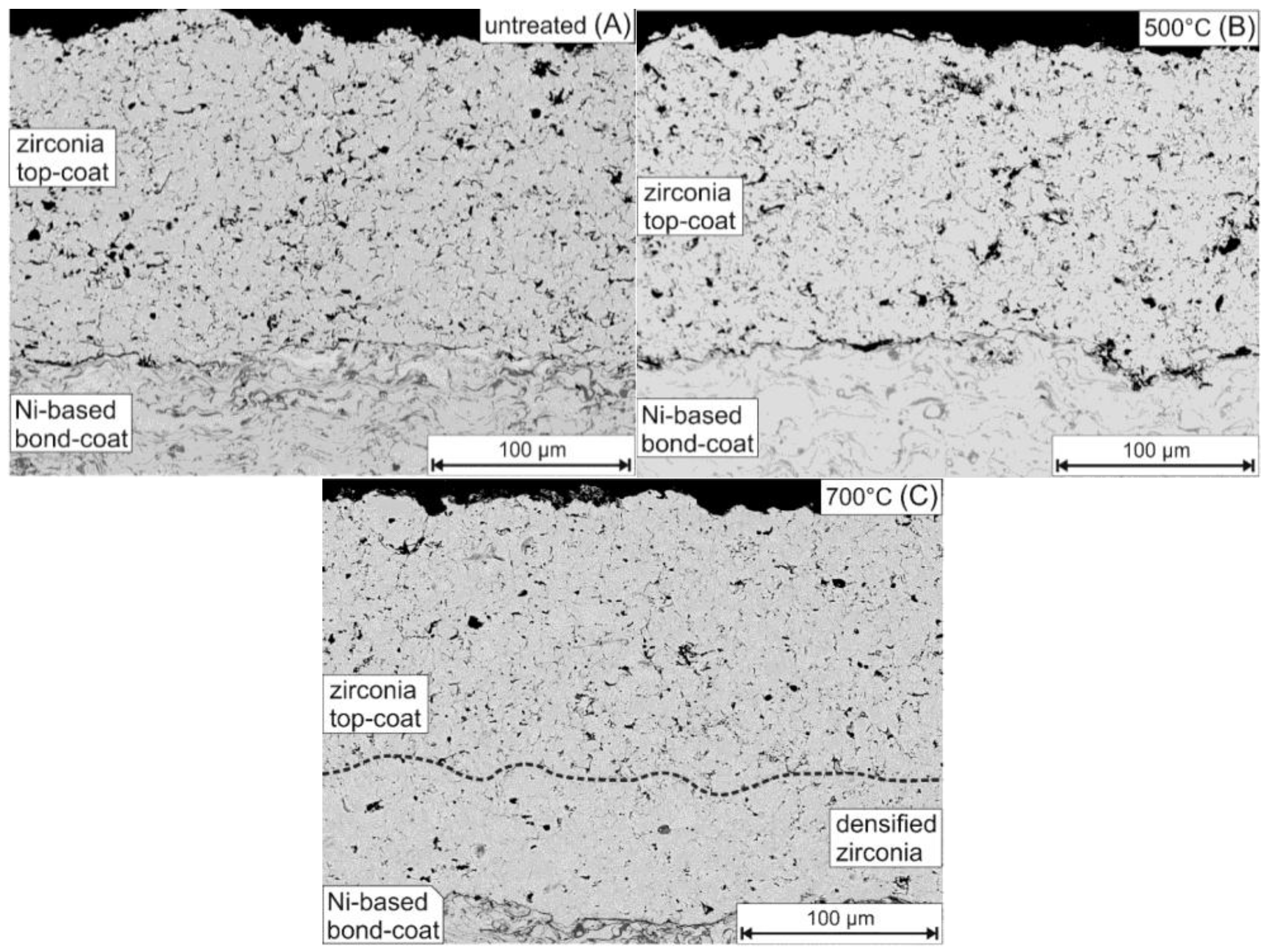 Coatings 06 00036 g007