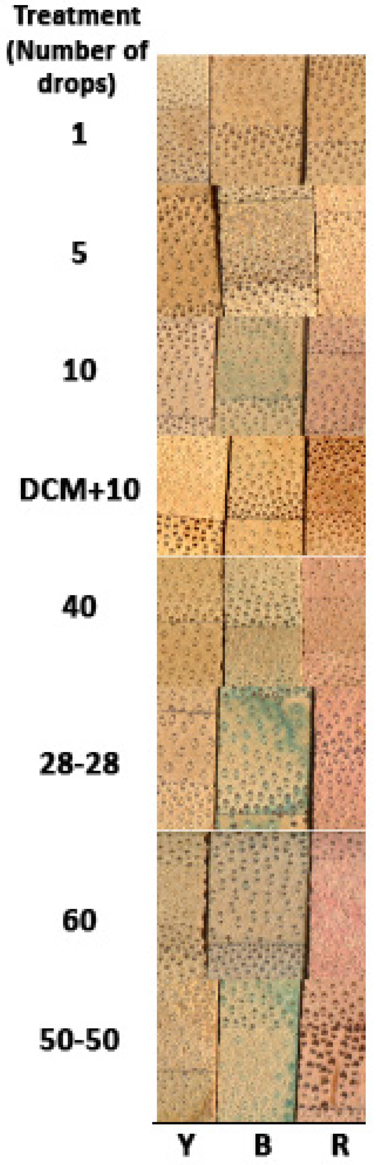 Coatings 06 00037 g004