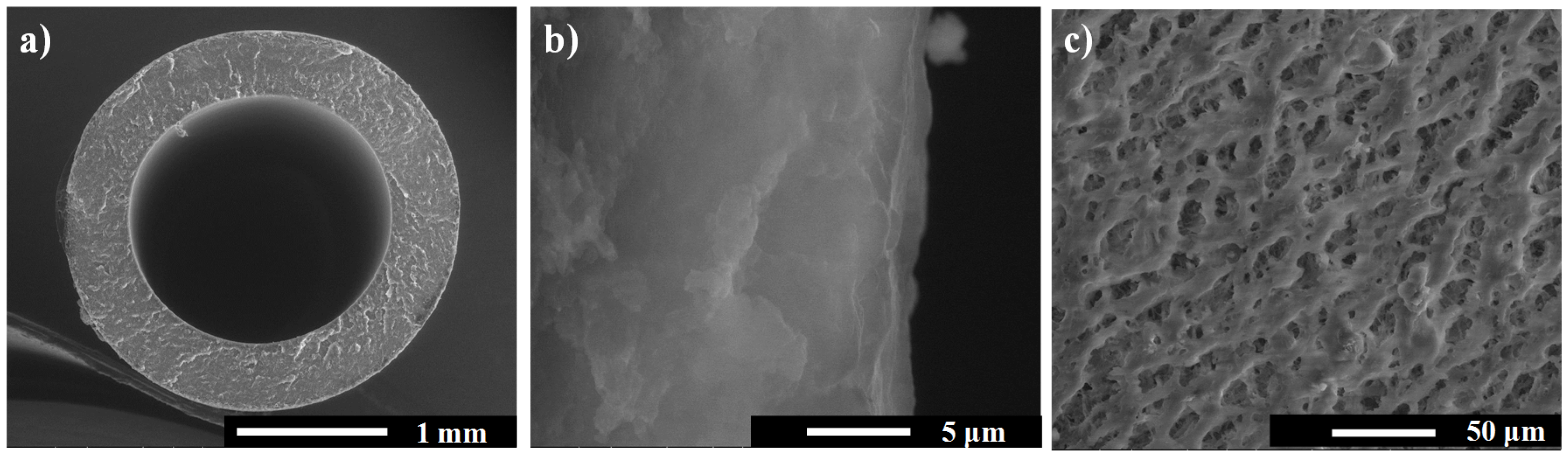 Coatings 06 00040 g003